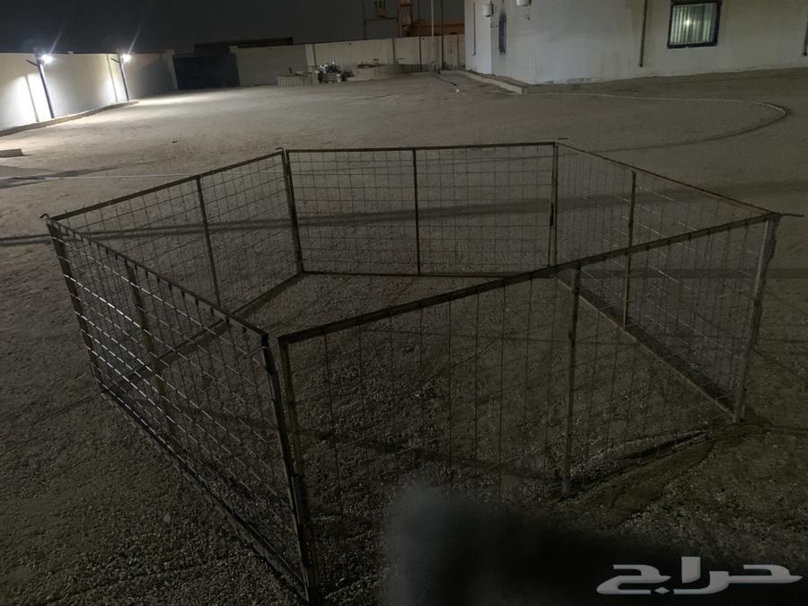 Sheep net64568852050946111