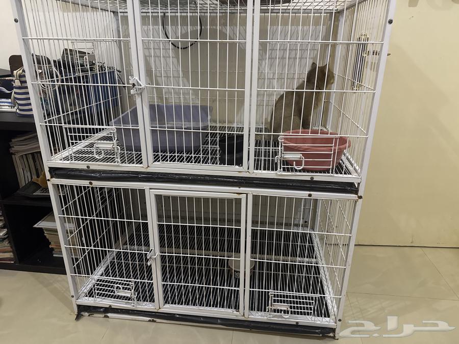 A pet cage, I have one level and two levels64566741978883110