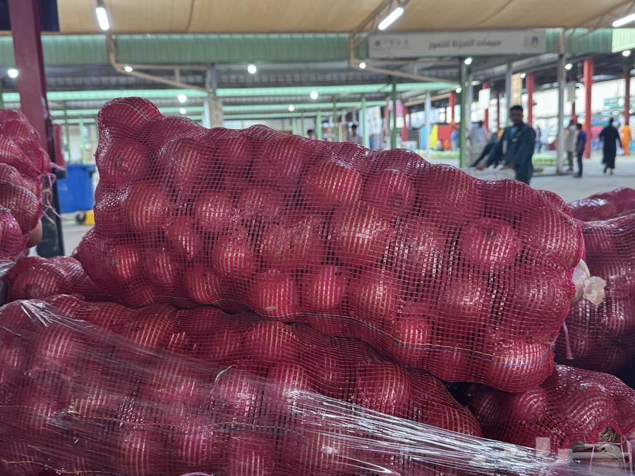 بصل 9 كيلو ب 1564564046833923110