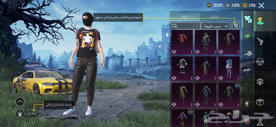 حساب ببجي لبيع السوم يبدا من 20064563619685507111