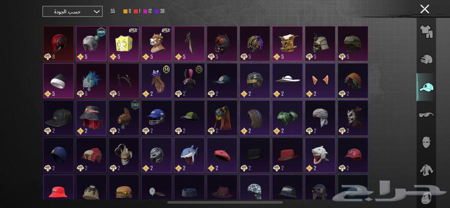 حساب ببجي للبيع كل شي موضح بالصوره لا يجي الا الصامل64568674041217111