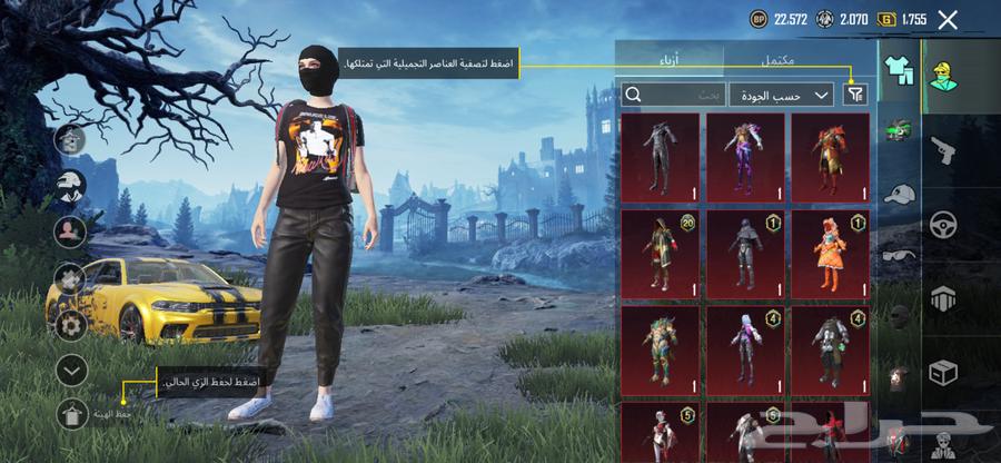 حساب ببجي لبيع السوم يبدا من 20064563619685507113