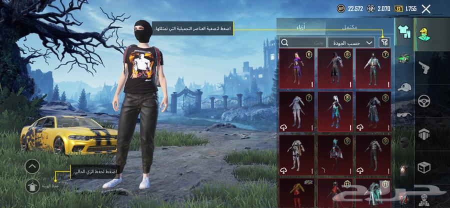 حساب ببجي لبيع السوم يبدا من 20064563619685507112