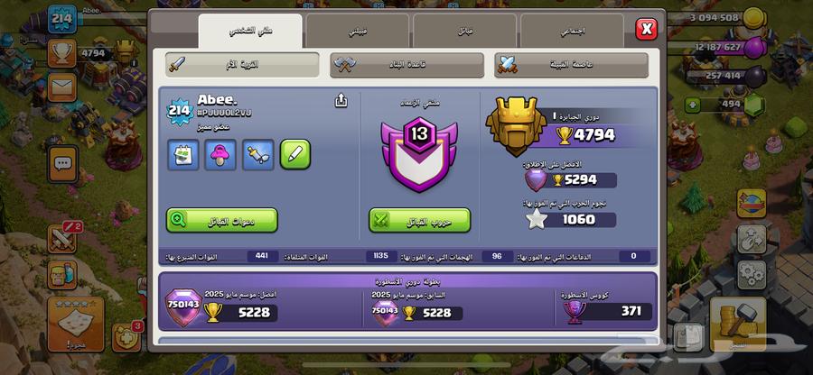 قريه كلاش اوف كلانس ماكس تاون 16 ماعدا القنابل64564824608257114