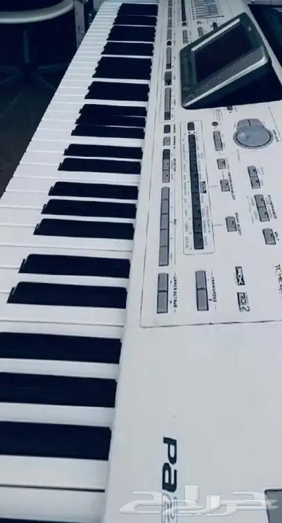 Oud and Organ Learning Course64569343532930111