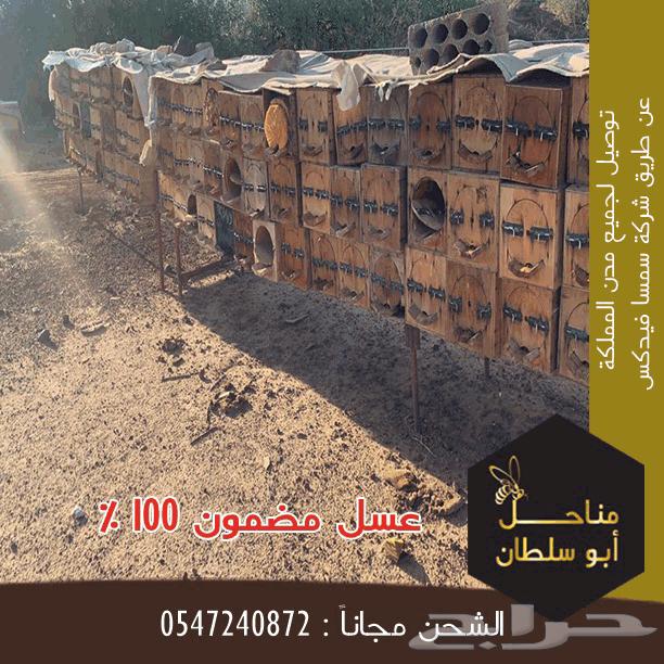 عروض اليوم الوطني مناحل ابو سلطان للعسل البلدي64565047960450111