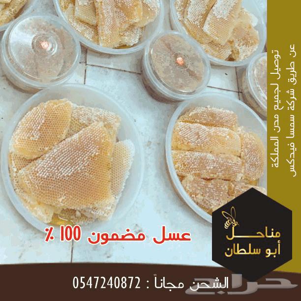 عروض اليوم الوطني مناحل ابو سلطان للعسل البلدي64565047960450112