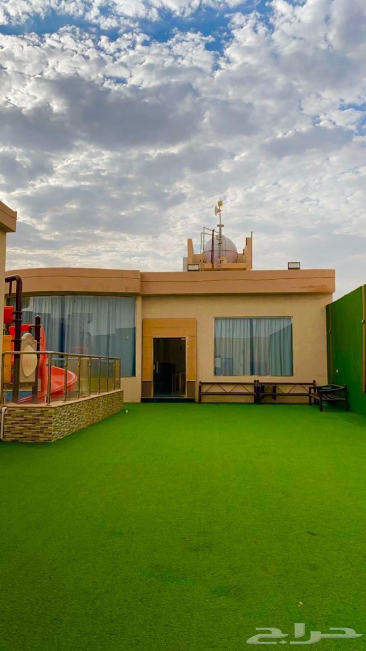 شالهات الرياض (عرض لفتره محدوده)64565214526337114