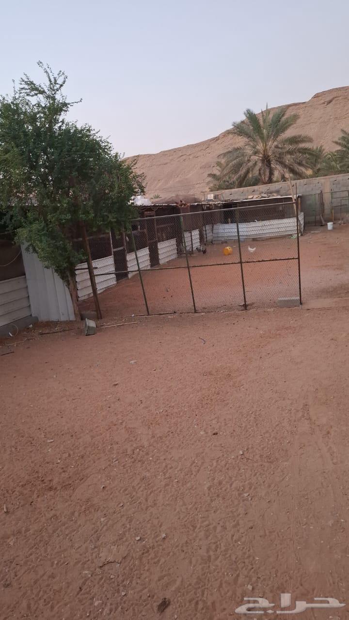 Items for sale from a rest house64564894247809110