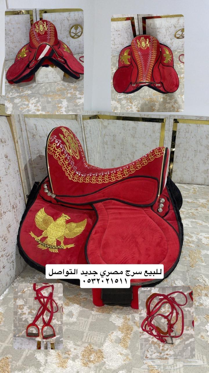 سرج مصري للبيع64543309052419110