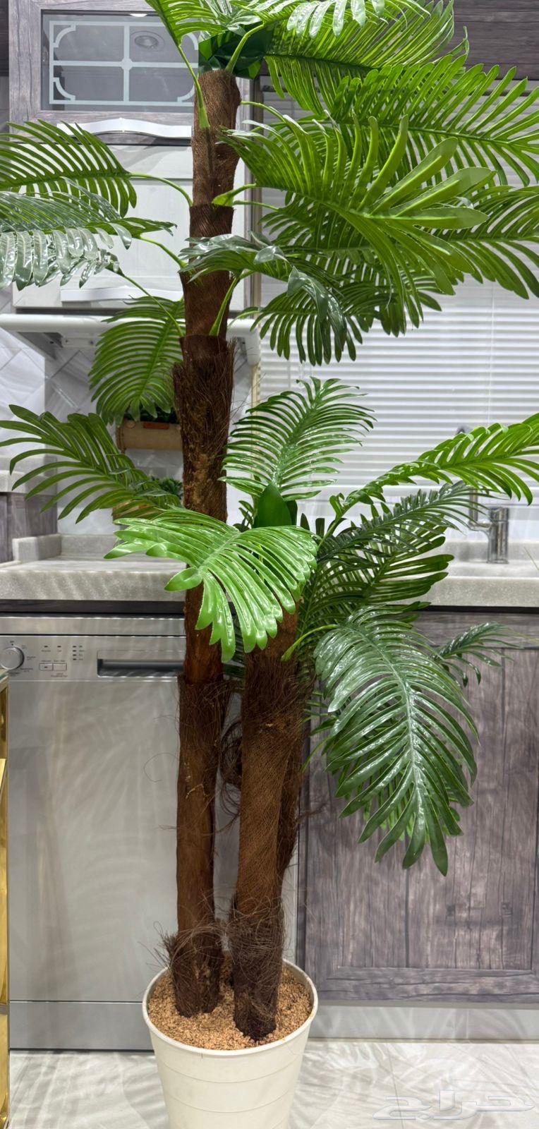 Tree64567670560514112