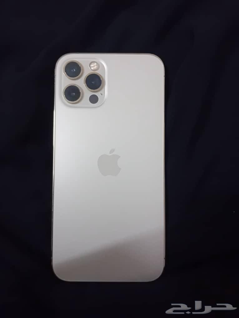 iPhone 12 Pro64568030141313113