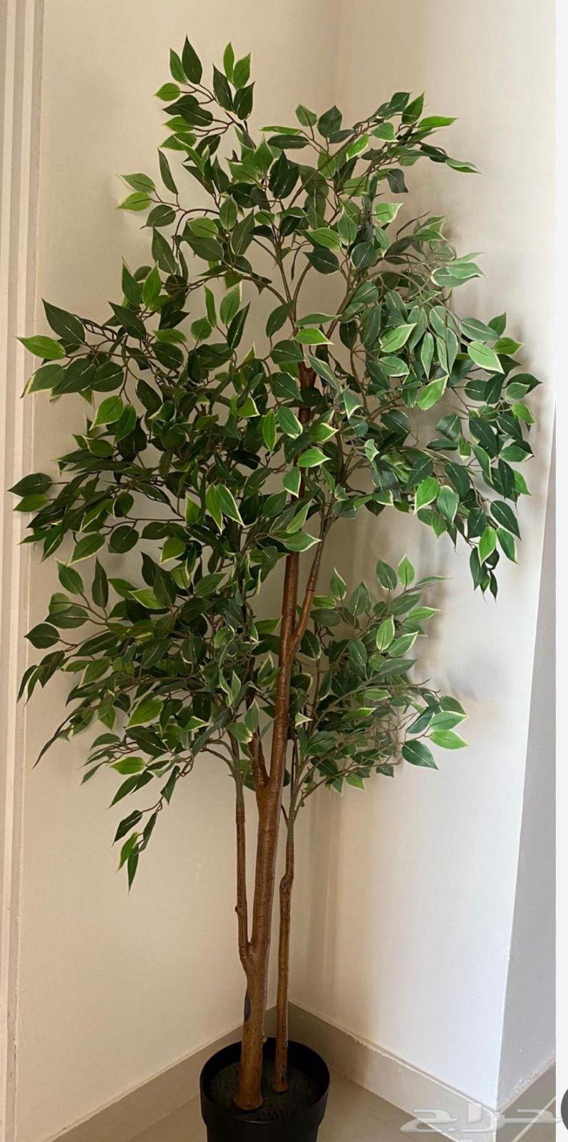 Artificial tree64567337510402113