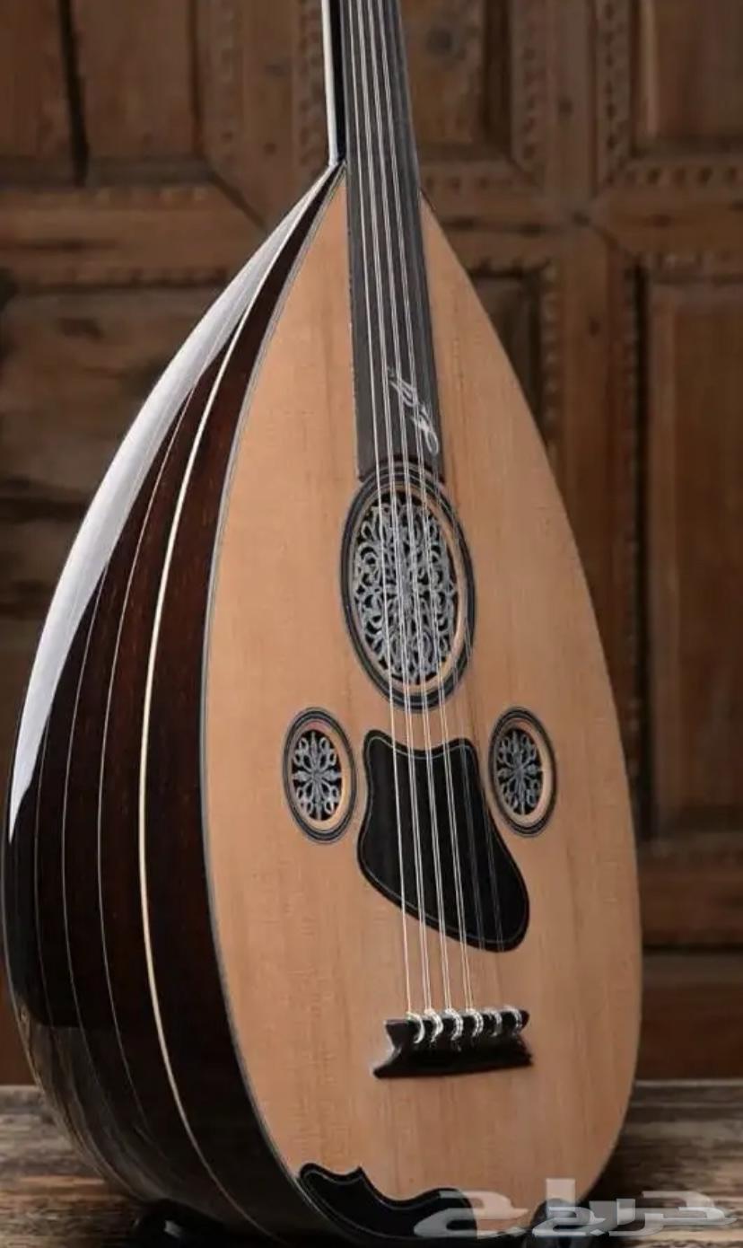 Oud and Organ Learning Course64569343532930110