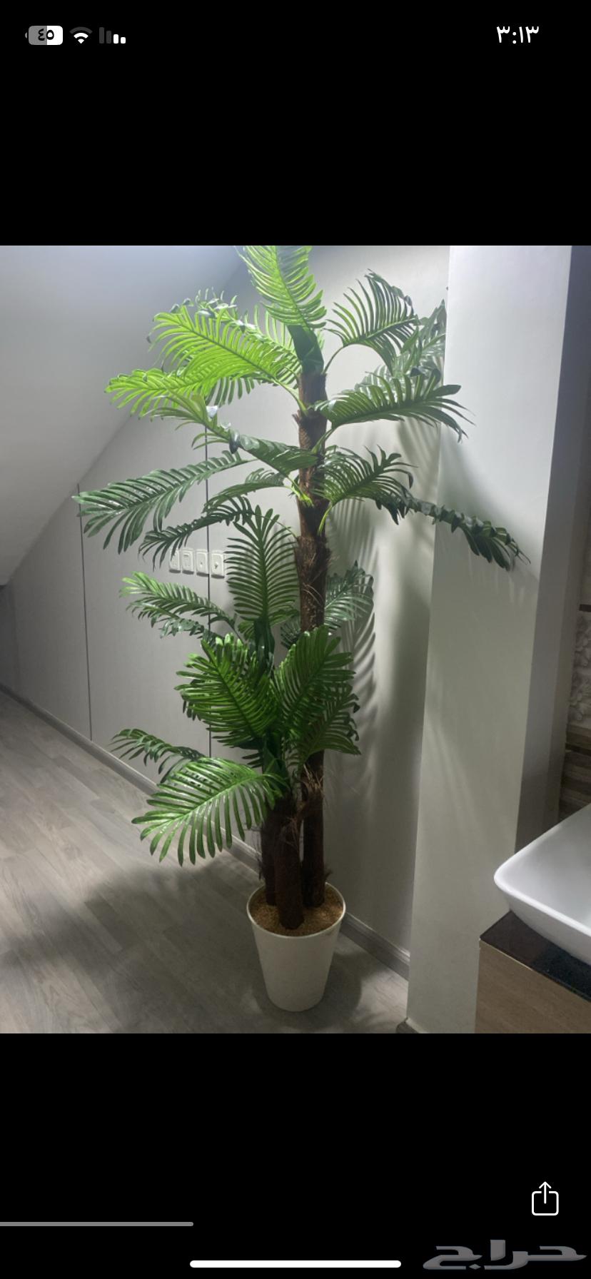 Tree64567670560514110