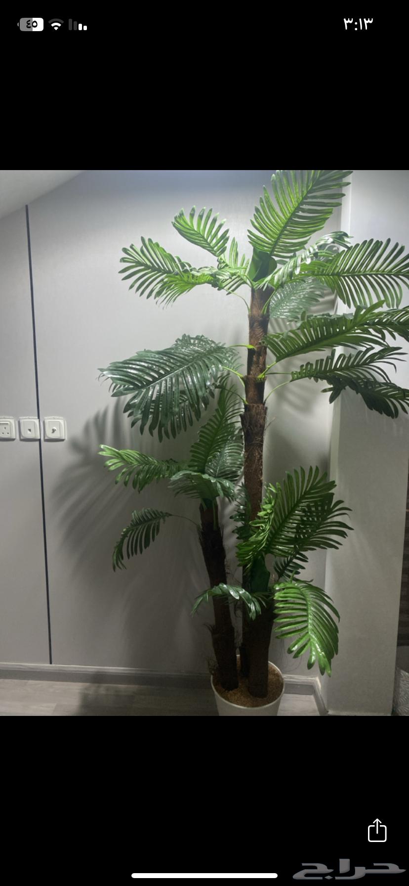 Tree64567670560514111