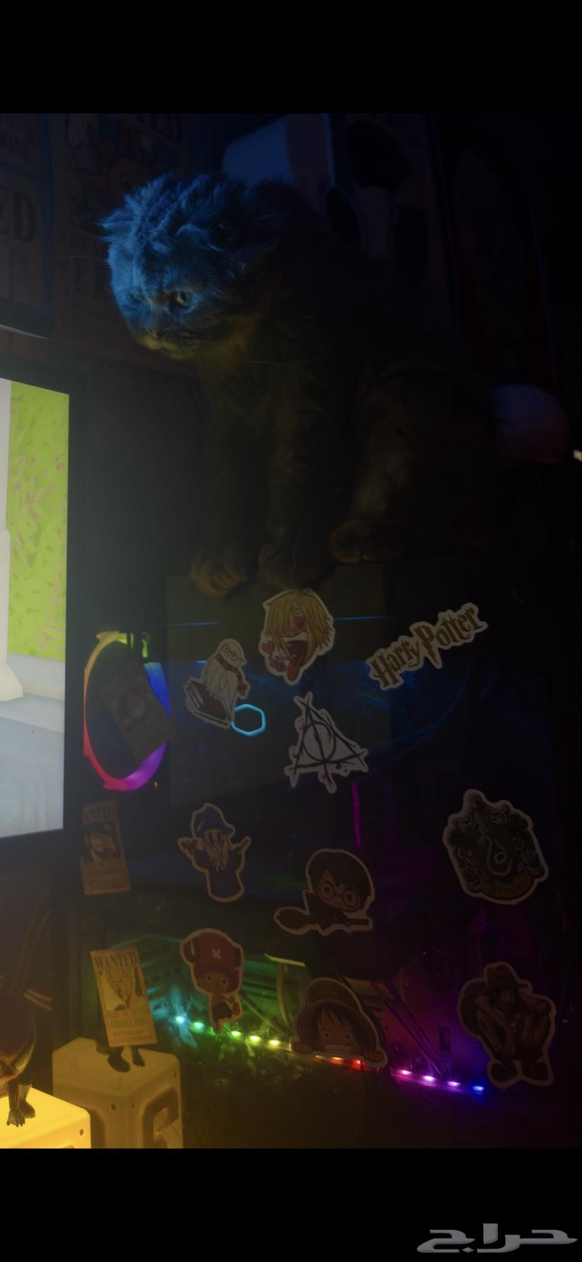 pc للبيع64570942332547111