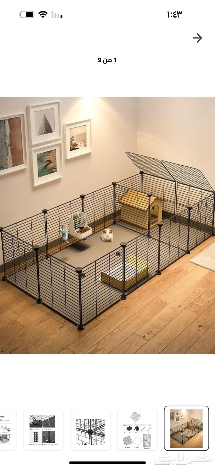 قطة للبيع لعوبه جميله64566893733506114