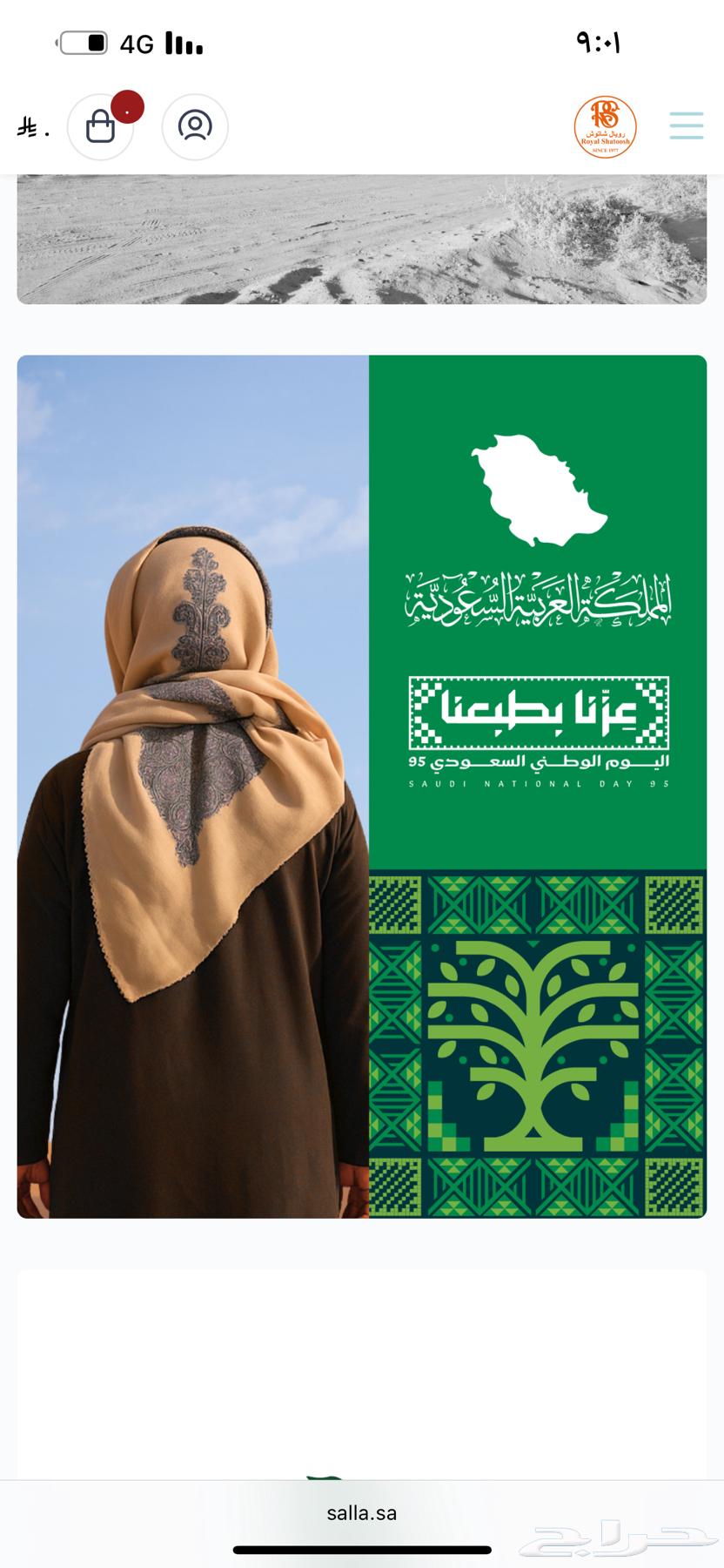 شالات كشميري صناعه يدويه 100 من كشمير إلى السعودية64565255818881112