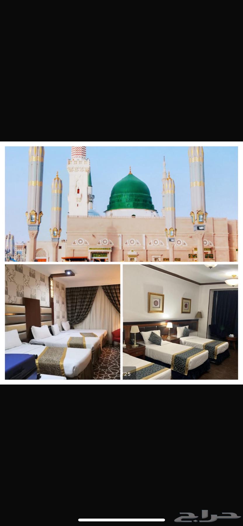 رحلة اليوم الوطني في المدينة المنوره غير64568423546881110