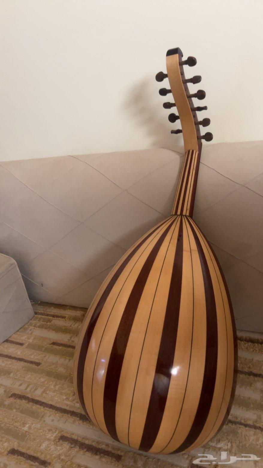 عود السلطان للبيع64564462491266111