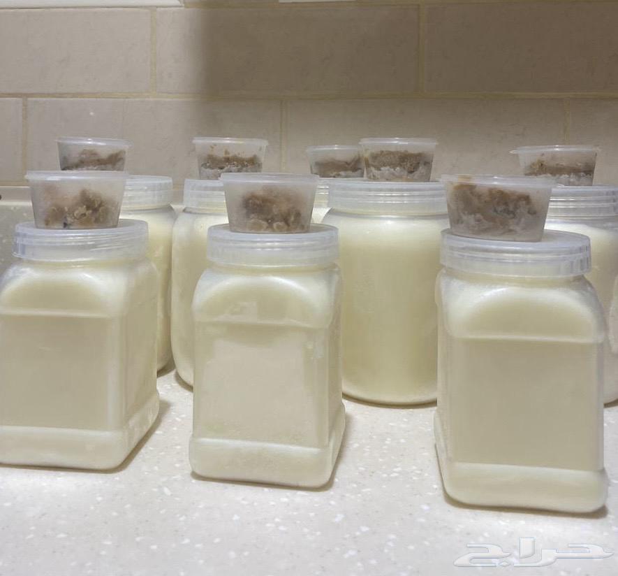 سمن معزا نشيش بيت مع خلاصة السمن64568086023810112