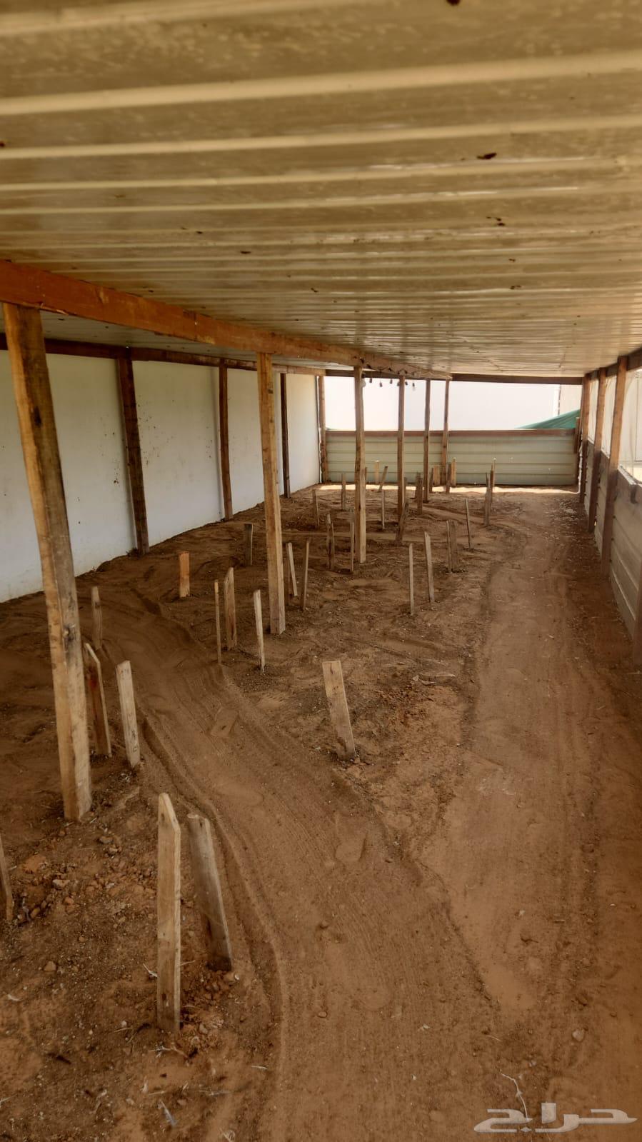 Incubator for sale and chicken coop64564754614018110