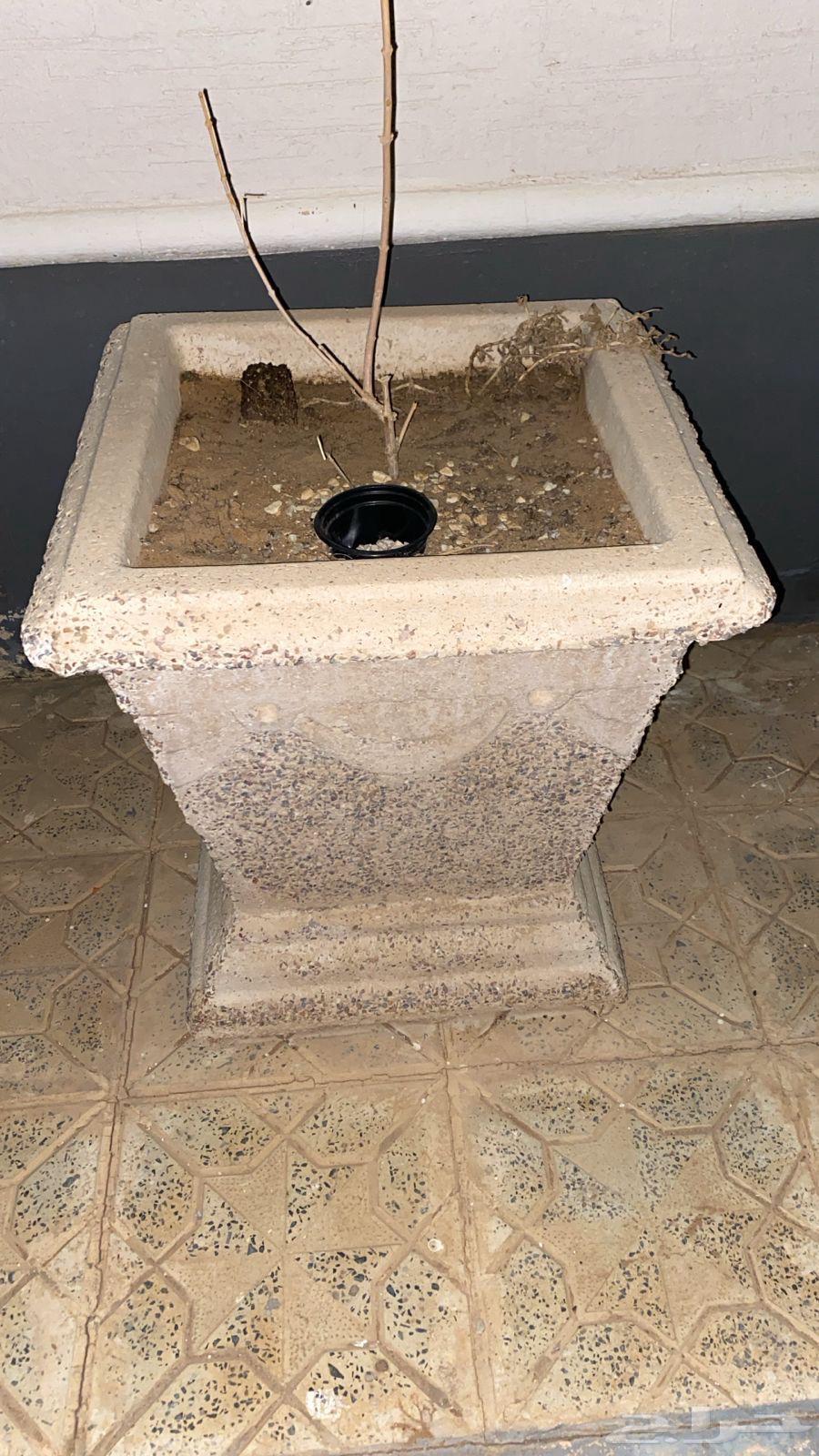 احواض اشجار من الحجر صناعه اردنيه العدد 6 نظيفه جدا64571286182017112