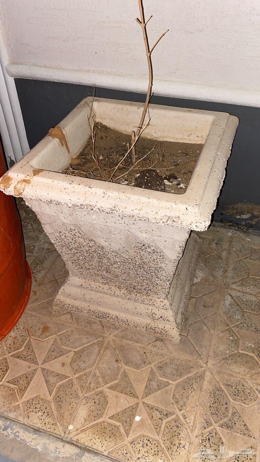 احواض اشجار من الحجر صناعه اردنيه العدد 6 نظيفه جدا64571286182017111