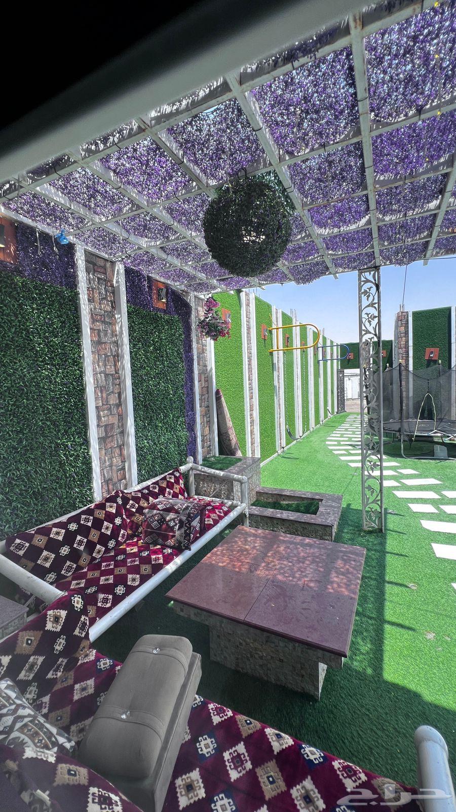 شاليهات للايجار اليومي شاليهات بشكات جنوب الرياض حي عريض64569726349953113