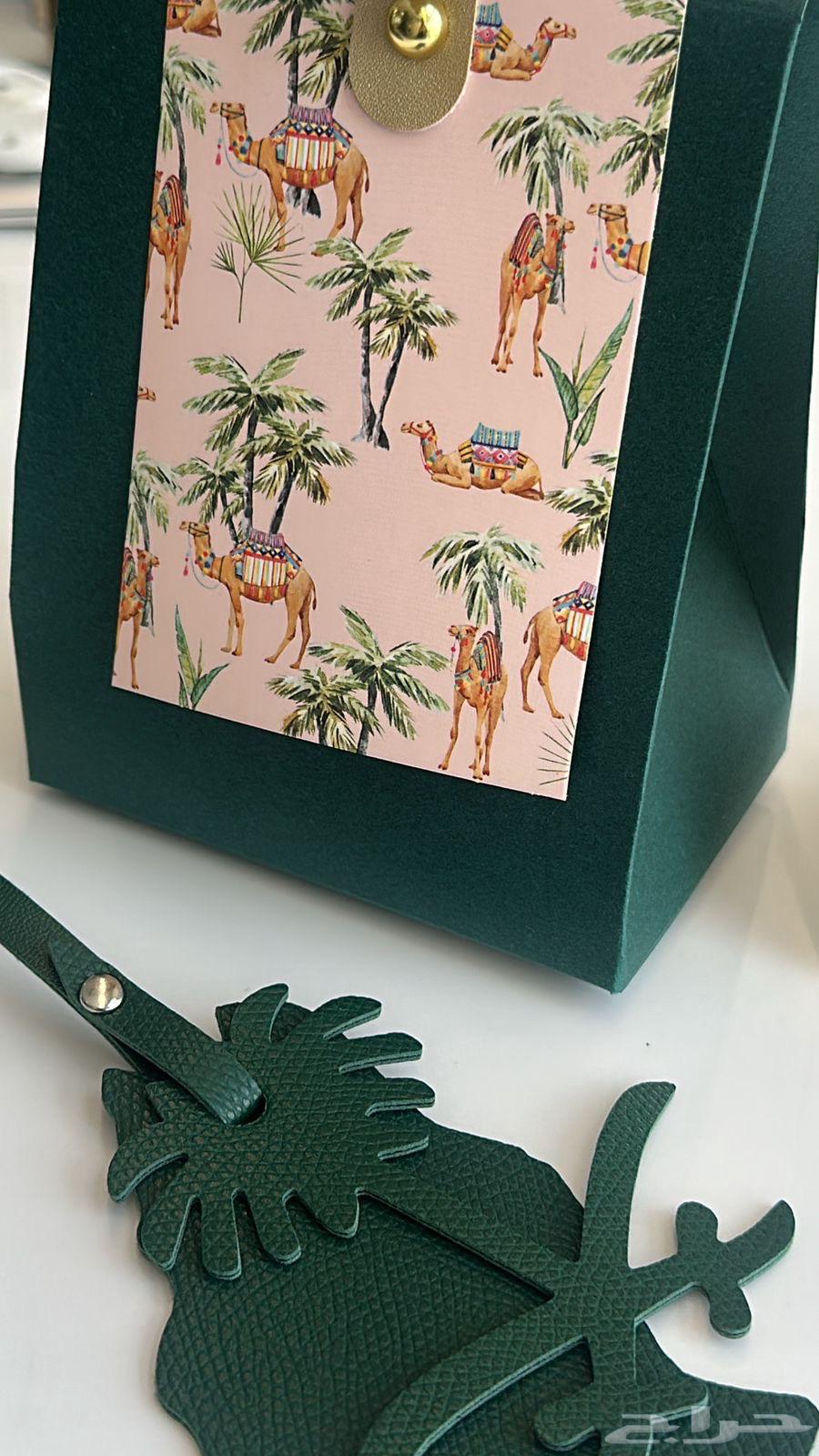 تعليقات يوم وطني للسيارة والشنط64571286173315111