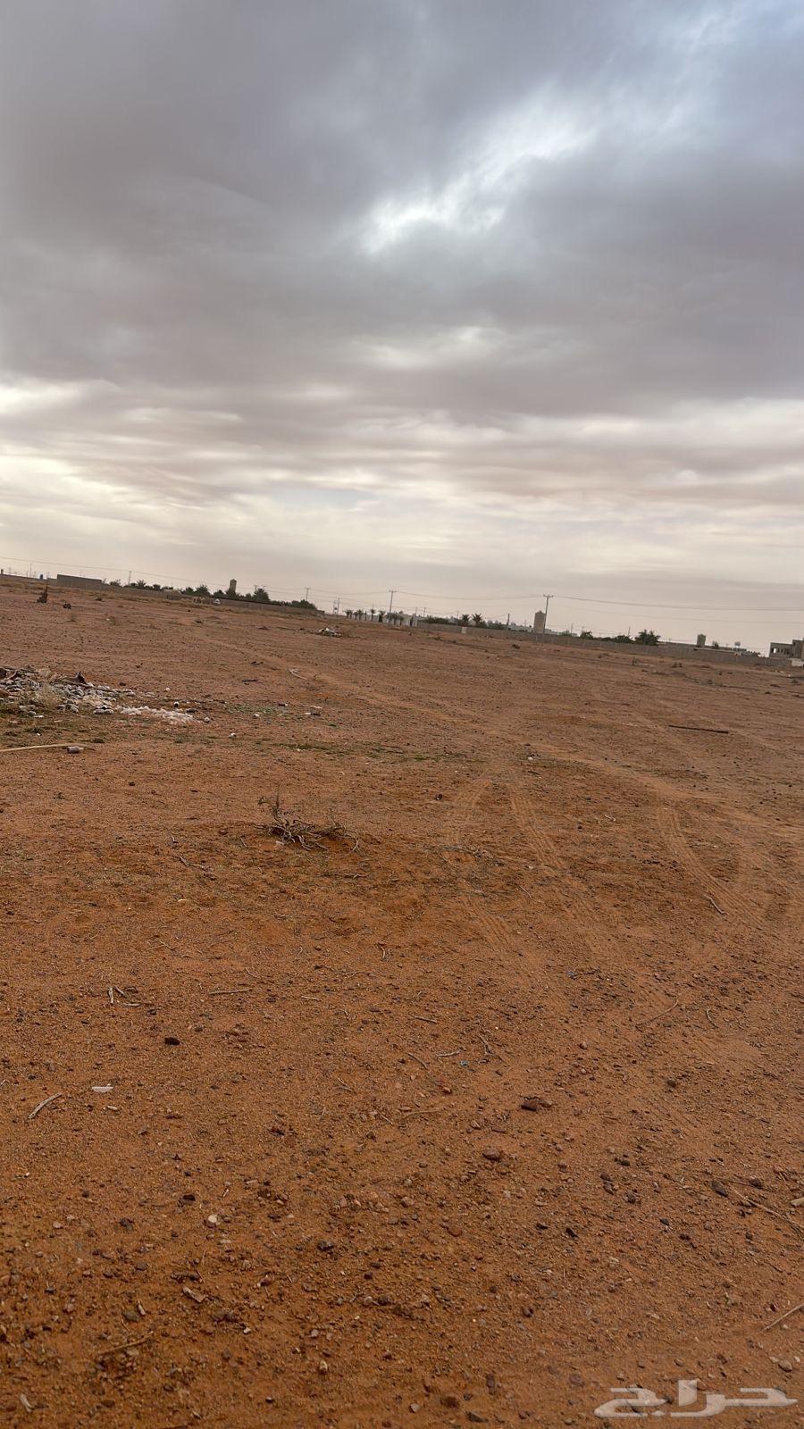 ارض للبيع