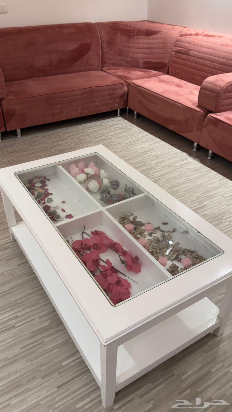 Clean, heavy white wooden table with no scratches64569562608899111