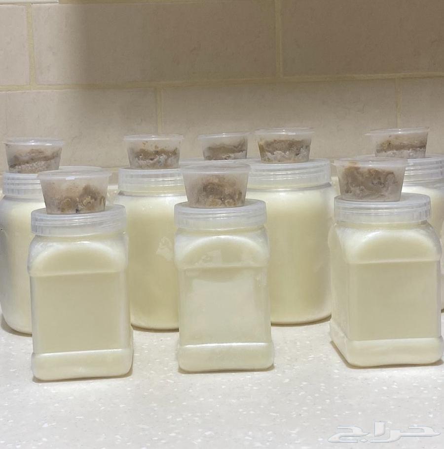 سمن معزا نشيش بيت مع خلاصة السمن64568086023810111