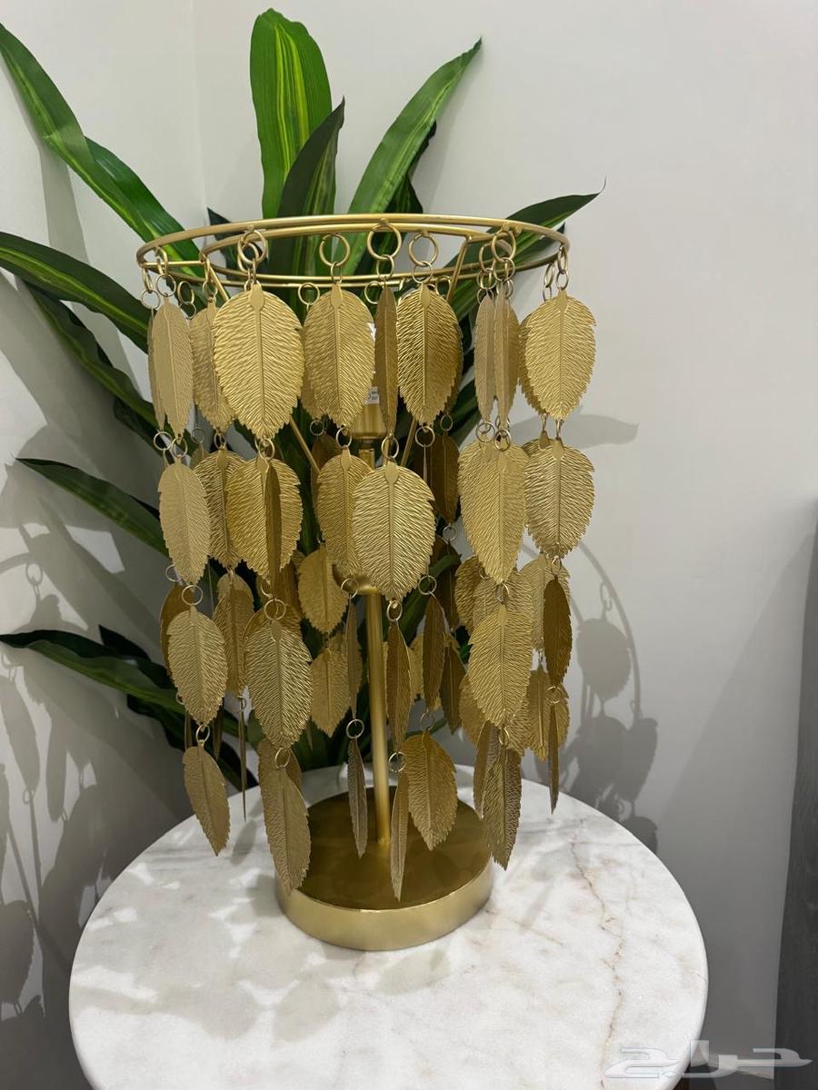 اربع ابجورات من سنتربويت64562894987266111