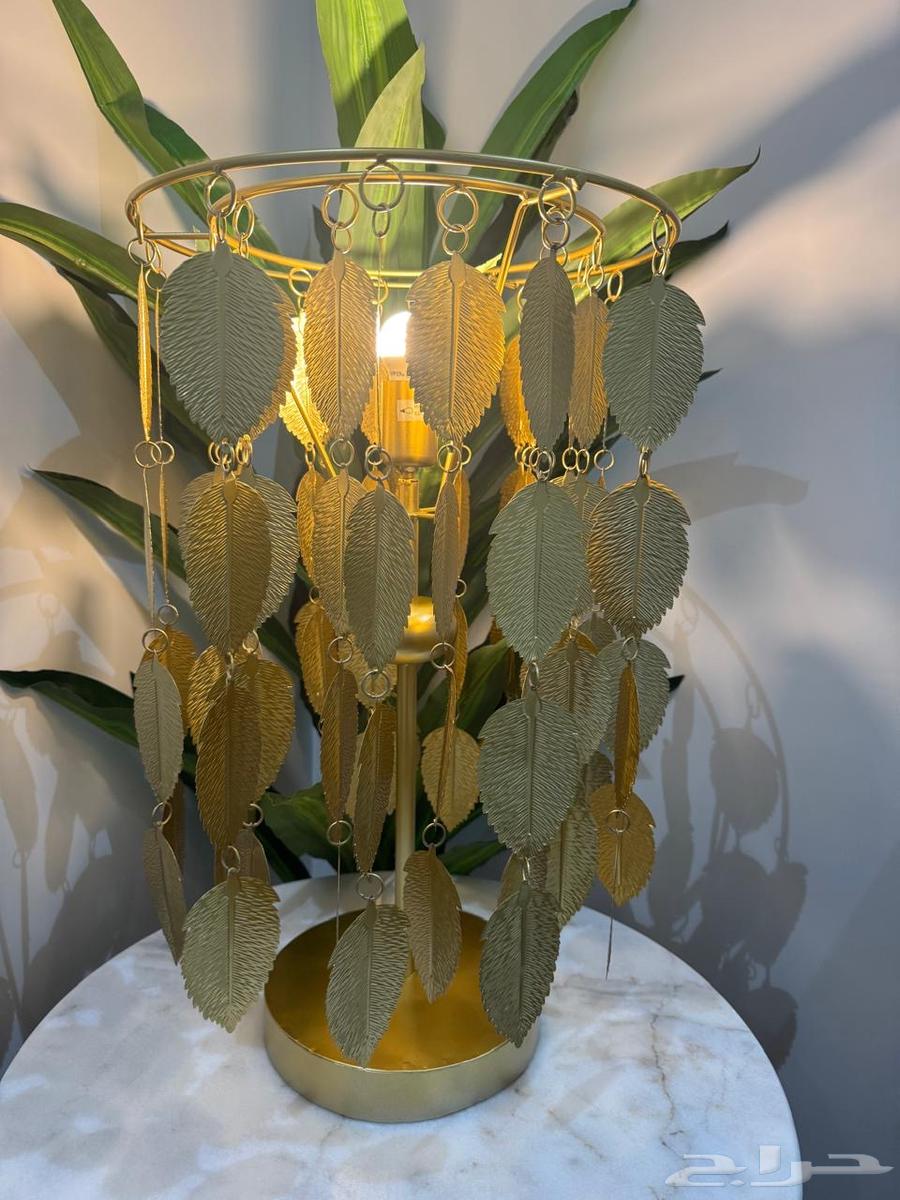 اربع ابجورات من سنتربويت64562894987266110