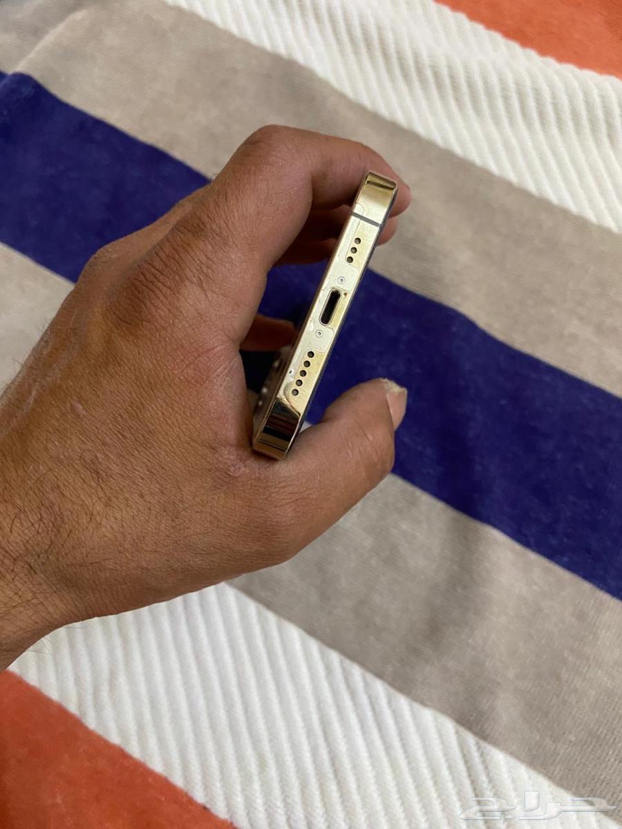 iPhone 13 and you64570600574465110