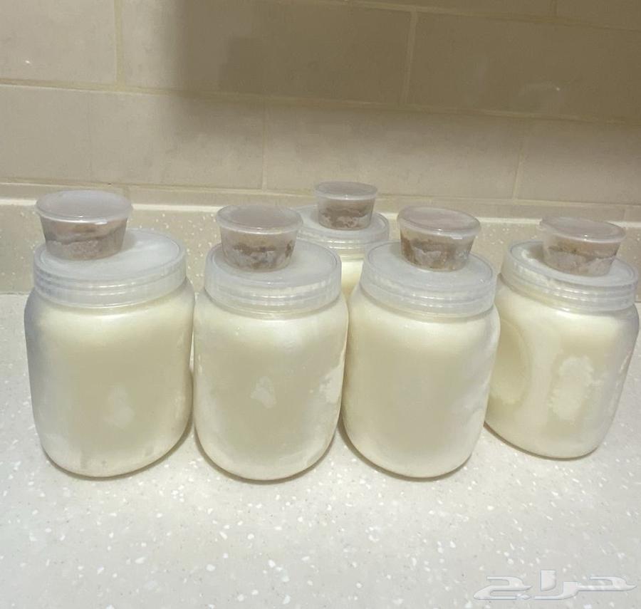 سمن معزا نشيش بيت مع خلاصة السمن64568086023810113