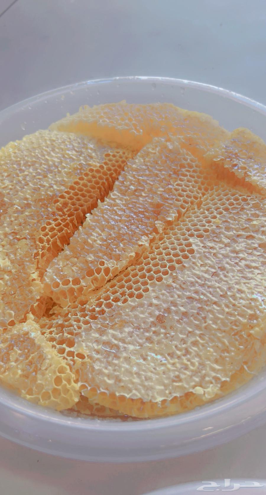 عروض اليوم الوطني مناحل ابو سلطان للعسل البلدي64565047960450110