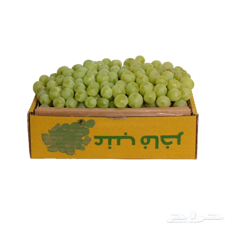 كرتون عنب اخضر من مزارع بني سعد64577796740225110