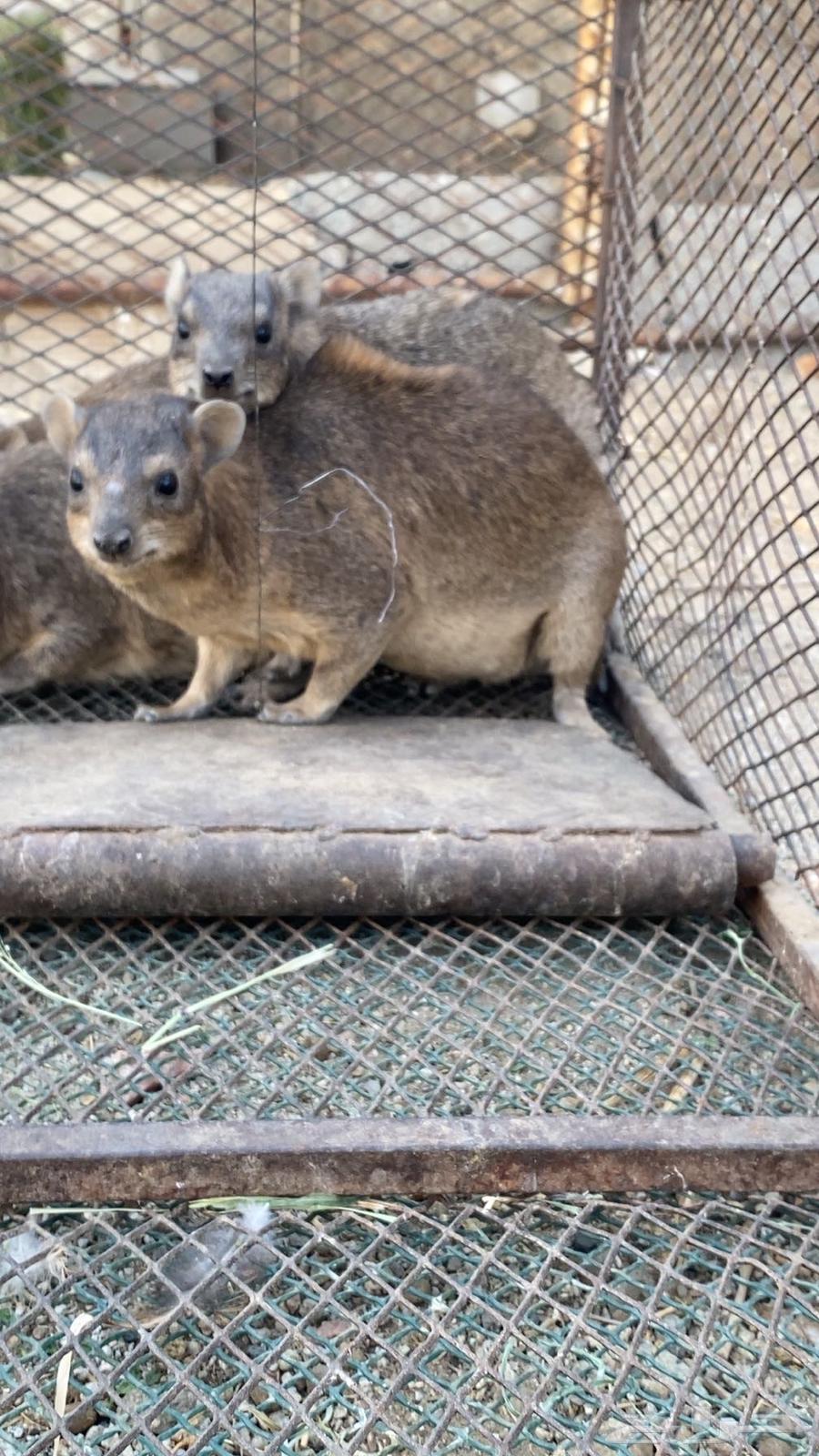 اعلان بيع64579197747458112