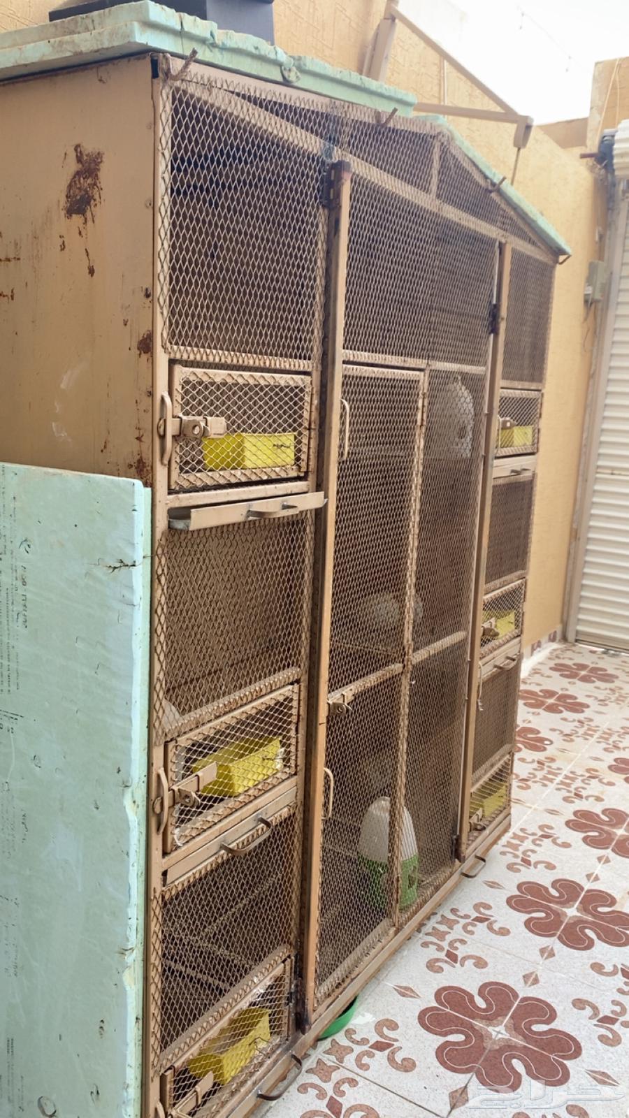 شبك حمام محاكر حديد ثقيل نظيف64576659597698114