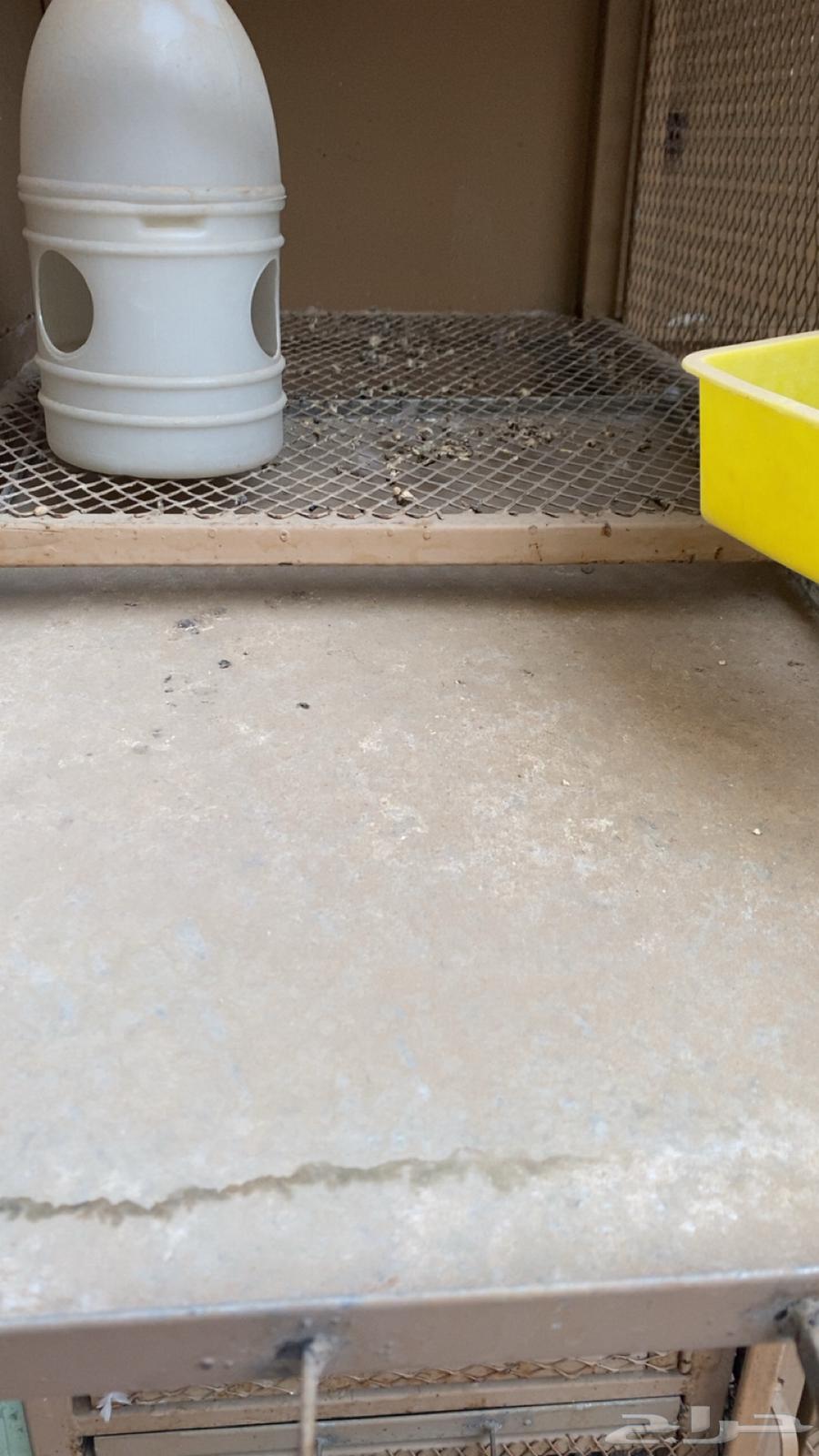 شبك حمام محاكر حديد ثقيل نظيف64576659597698113