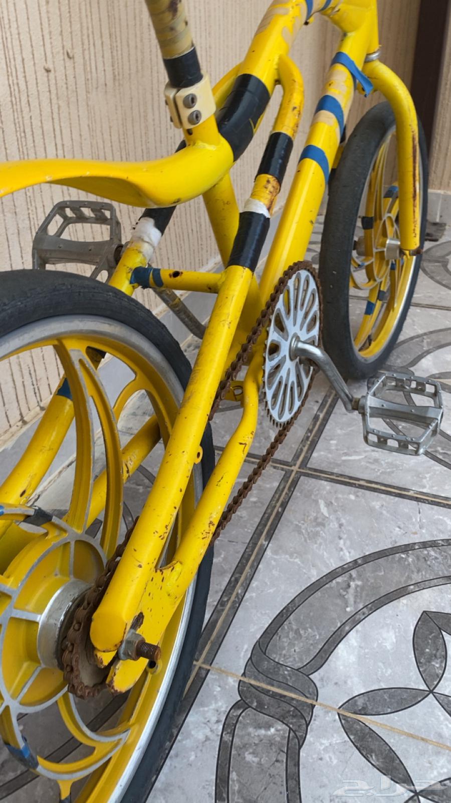 سيكل مقاس20 كوبرا64577247809154111