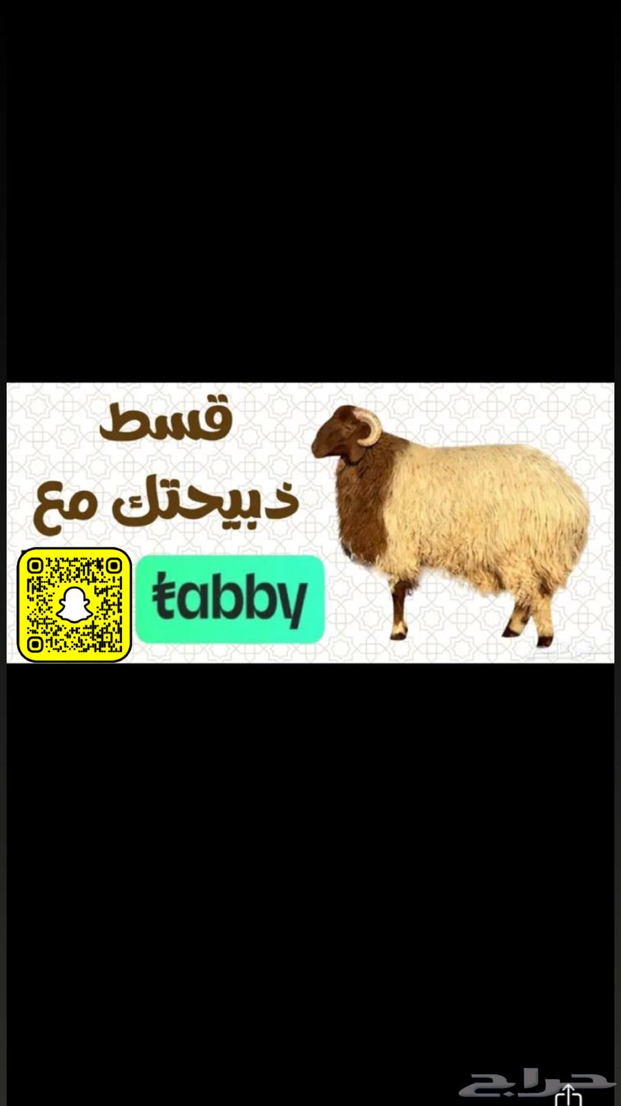 Slaughtered meat via Tabby64577092953474110