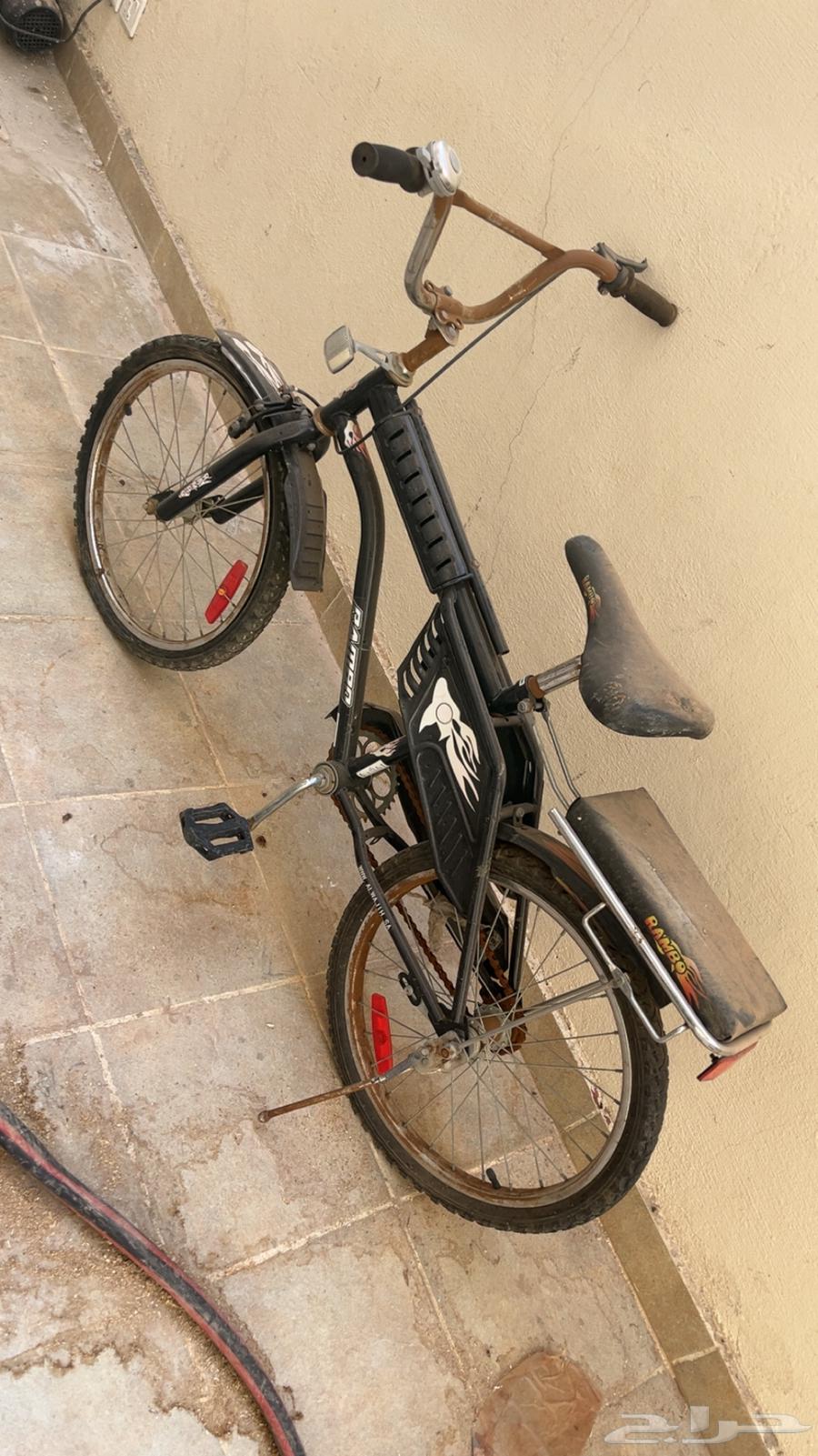 Rambo bicycle64576478883457111