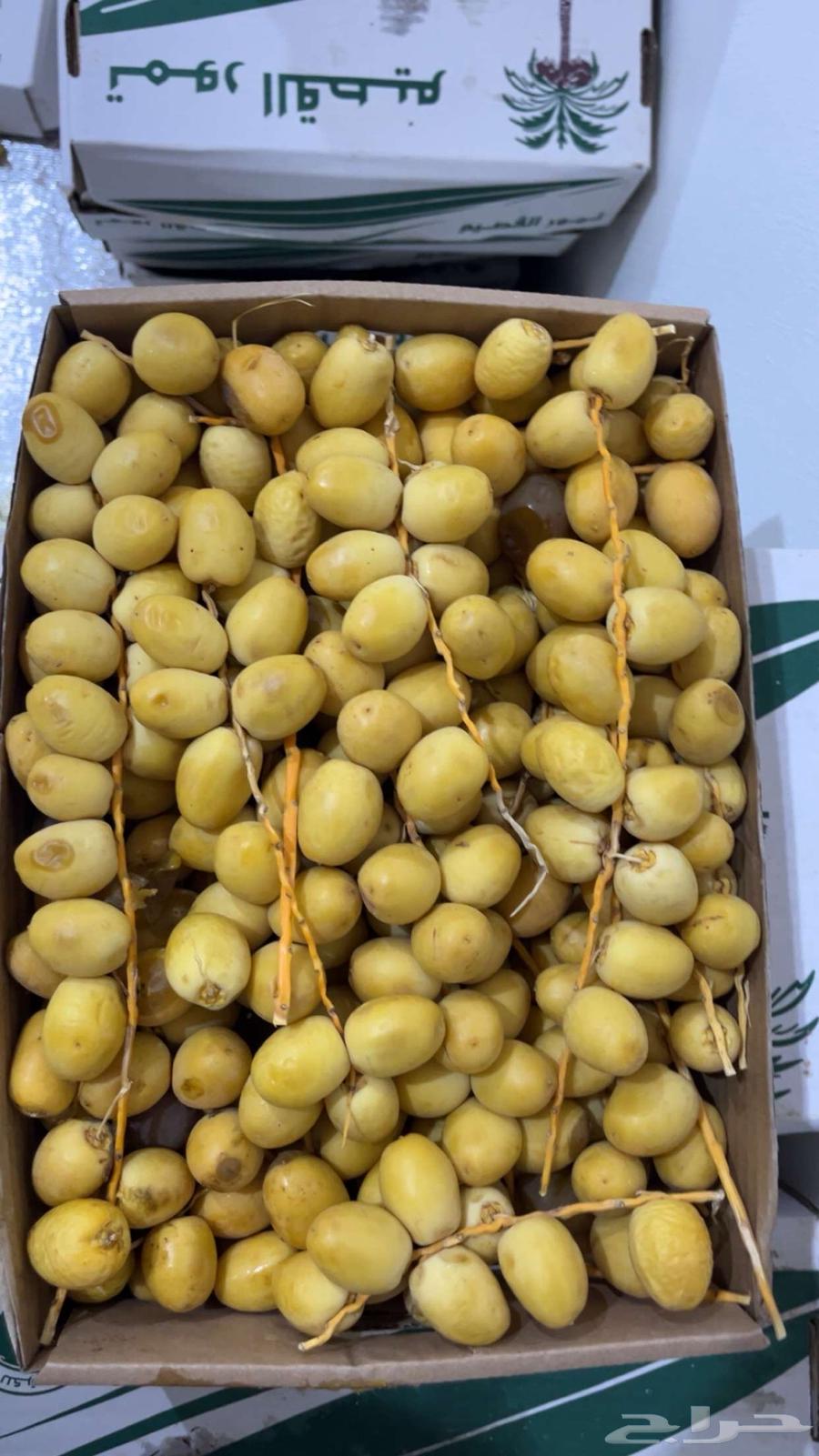 Rahat Dates, Twisted Sugar Dates, and Burhi and Mataa Rahat64575684669057112