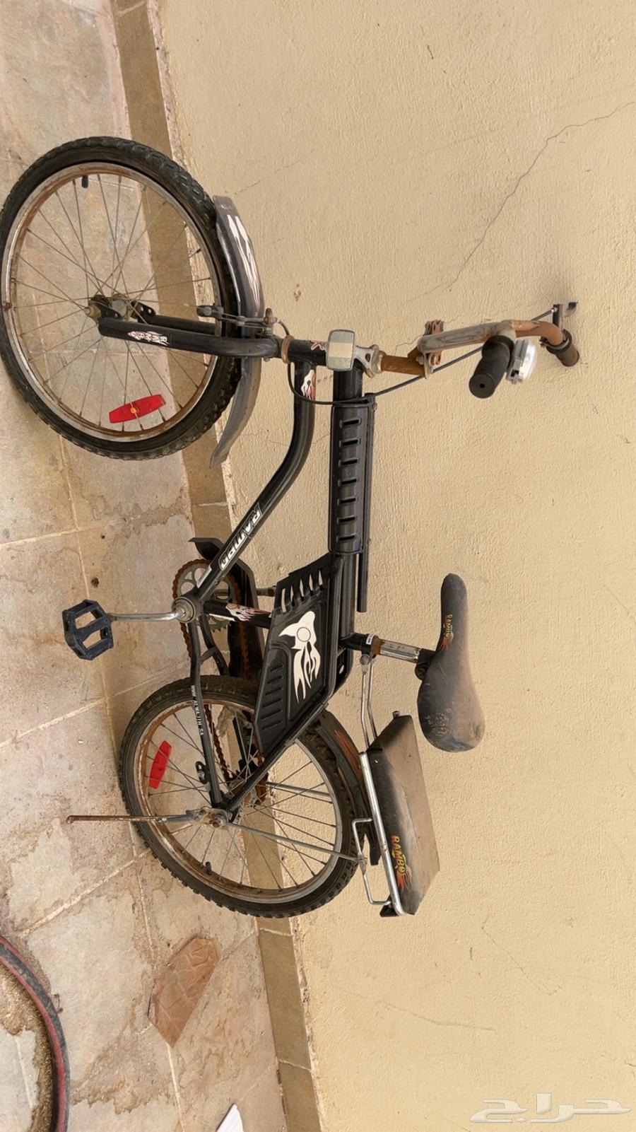 Rambo bicycle64576478883457110