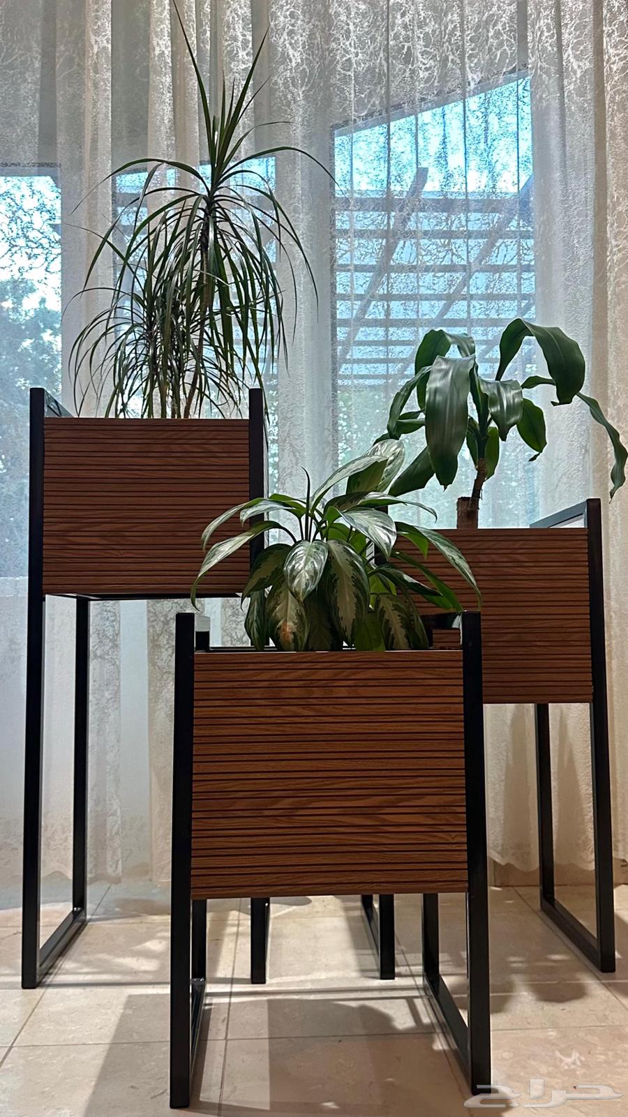 Set of 3 Planters64571957824898111