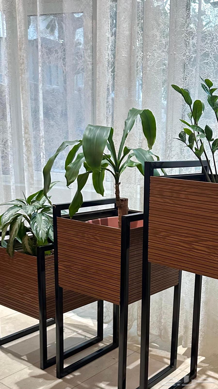 Set of 3 Planters64571957824898112